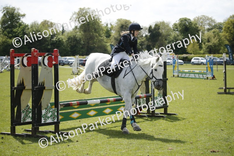 20250427-3746 - Class 14 - Absolute Novice 70cm