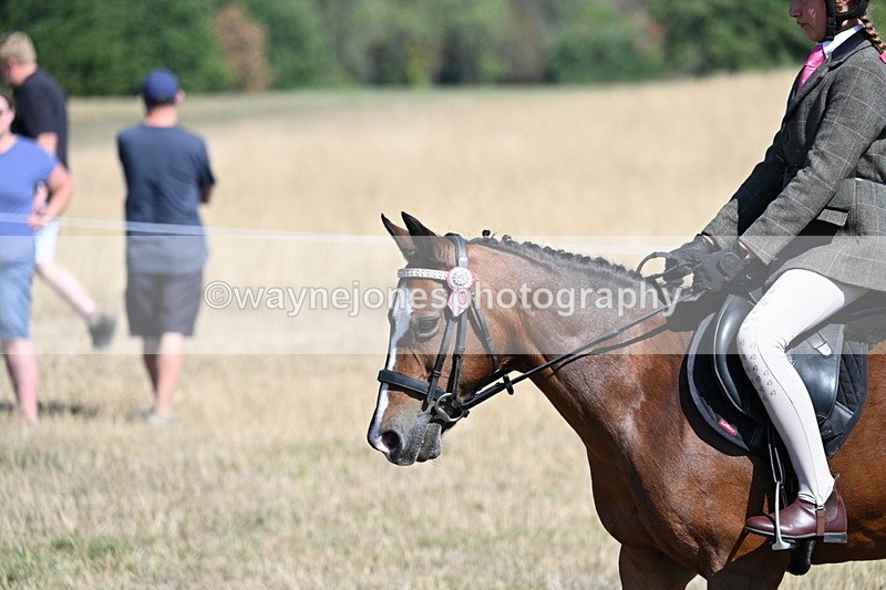 WJ7_4085 - Class 9 Mountain & Moorland Ridden