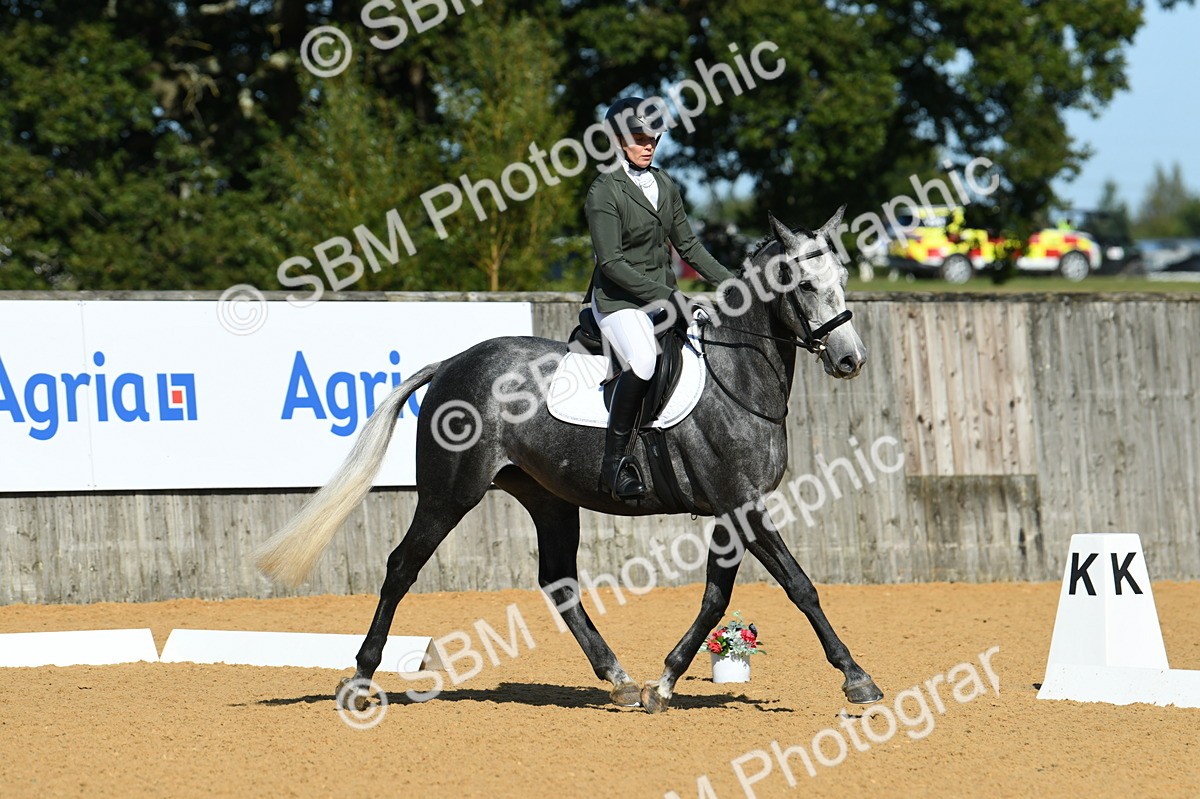 SBM_17942 - D4 - Small Tour Championship - Intro B