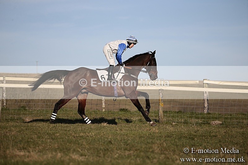 PtP 240218 649 - Vine & Craven Hunt Point-to-Point Barbury racecourse 24/02/18