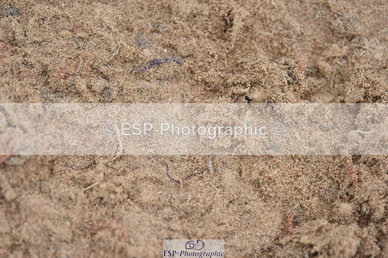 230916A-161008-05505 - Cls 18 Snr 95cm Derby