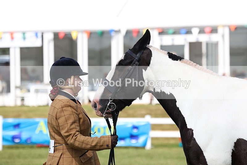 3E7A0048 - Class 5: Rising Star Lightweight/Heavyweight Cobs