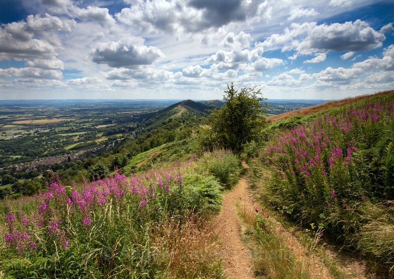 Coverd in Pink - The Malvern Hills