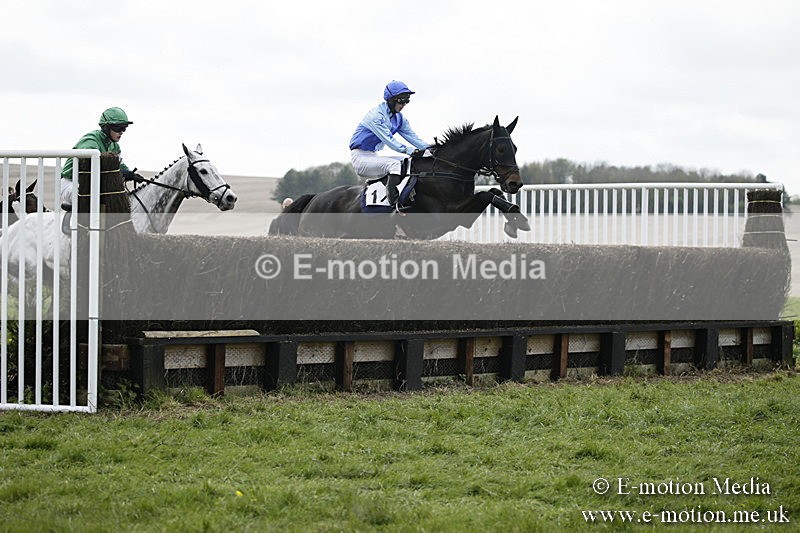 PtP 170417 72 - Old Berks Point-to-Point Lockinge 17/04/17