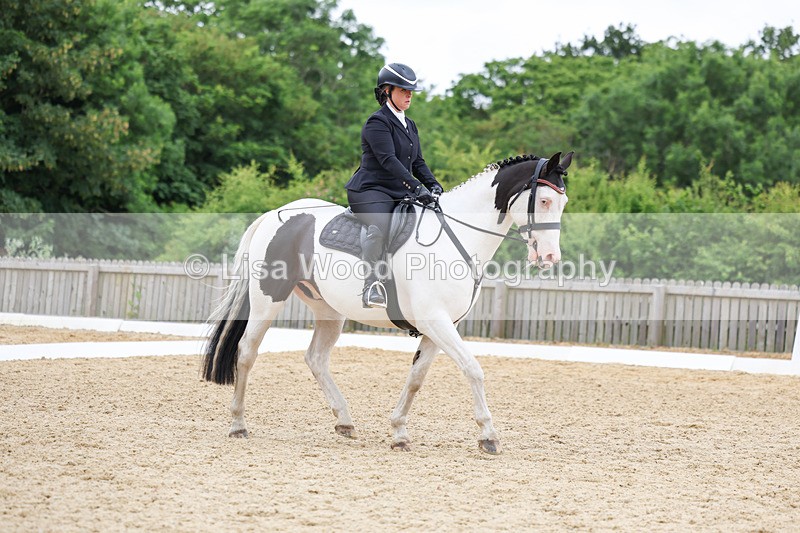 3E7A0795 - Class 6: Novice 1 2024 Section B