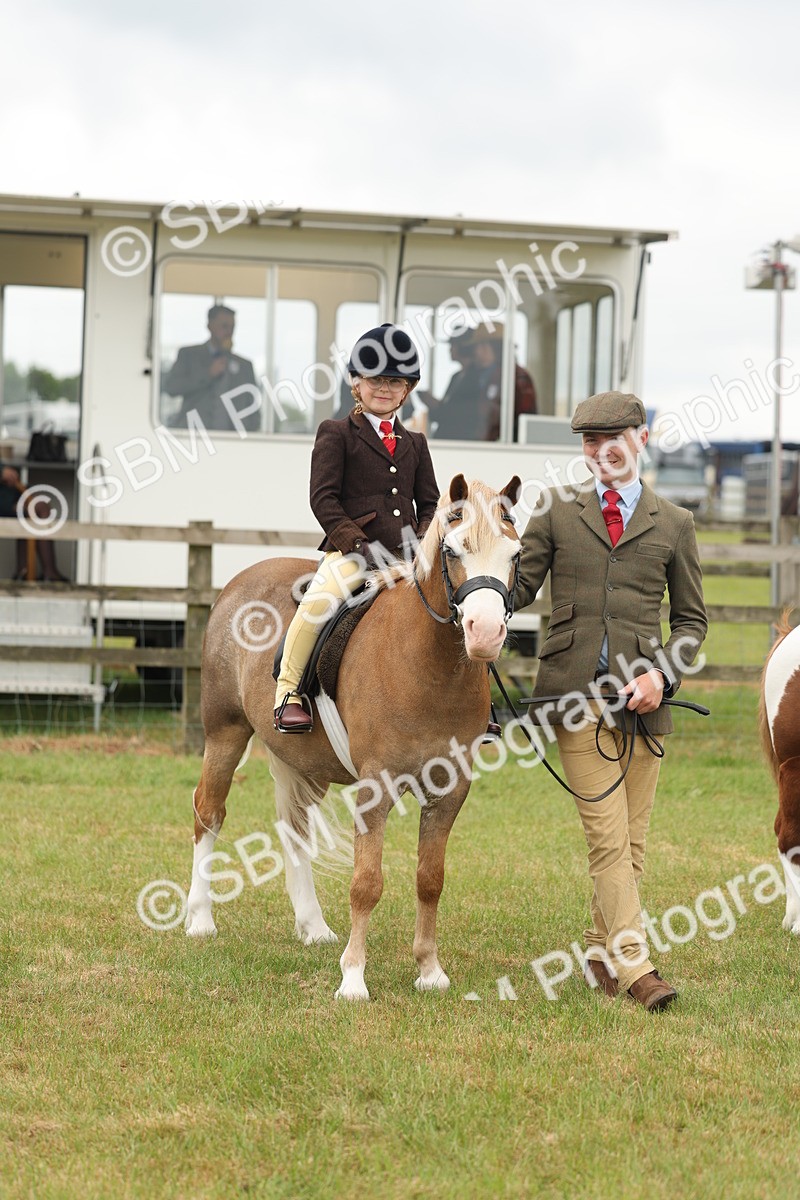 SBM_06785 - Class 74-75 - M&M Lead Rein and First Ridden Pony