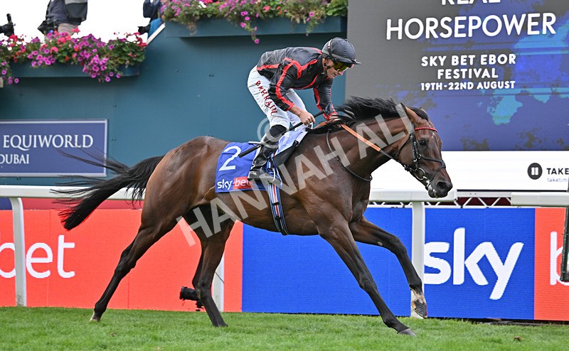 190826-087 Maltese Cross - Race 3 15.00pm Sky Bet Great Voltigeur Stakes
