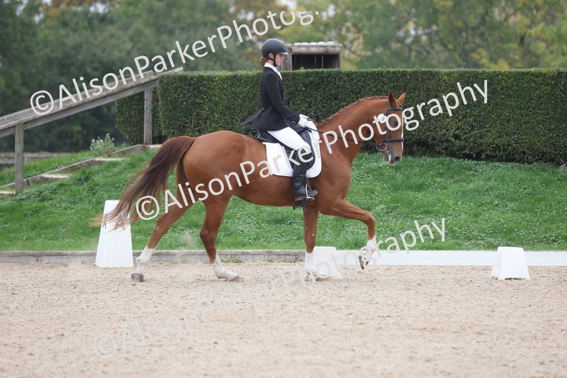 20251011-0545 - Class 6 - Elementary 1