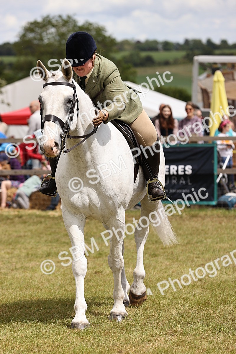 SBM_14821 - Class 88-89 - LIHS BSHA Rising Star of Ridden Hunter Type