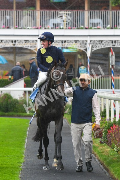 140723-Race 5-Monte Linas-0534 - Race 5 4.25pm Coopers Marquees Handicap