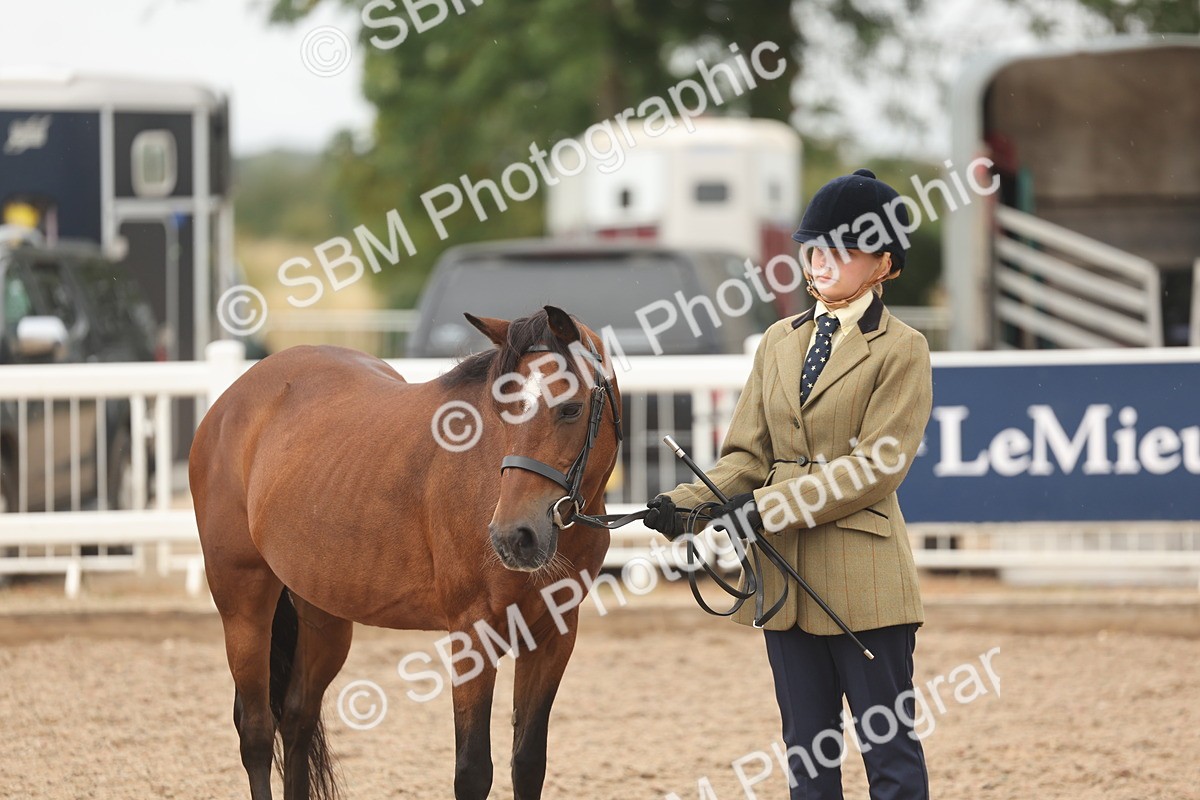 SBM_00603 - Class 13 Young Handler