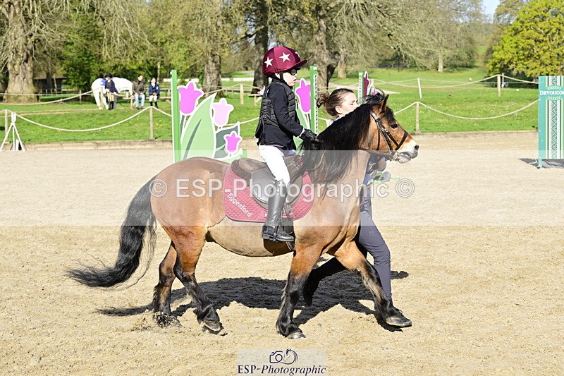 260411A-092707-00172 - 40cm Lead Rein