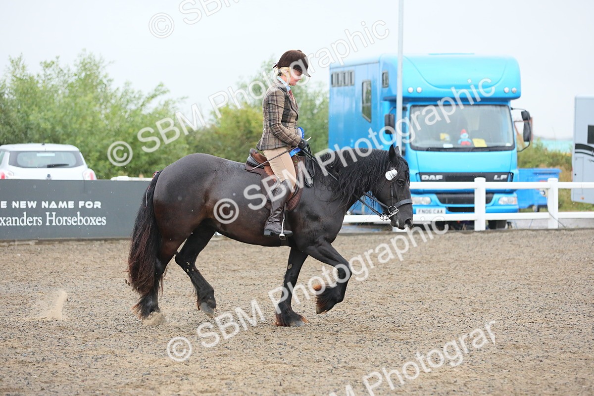 SBM_20402 - Class 803 - Ridden Combination 65+