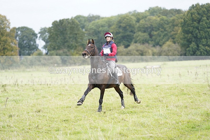 _DSC7682 - Time at Photographer 11:24 to 11:55