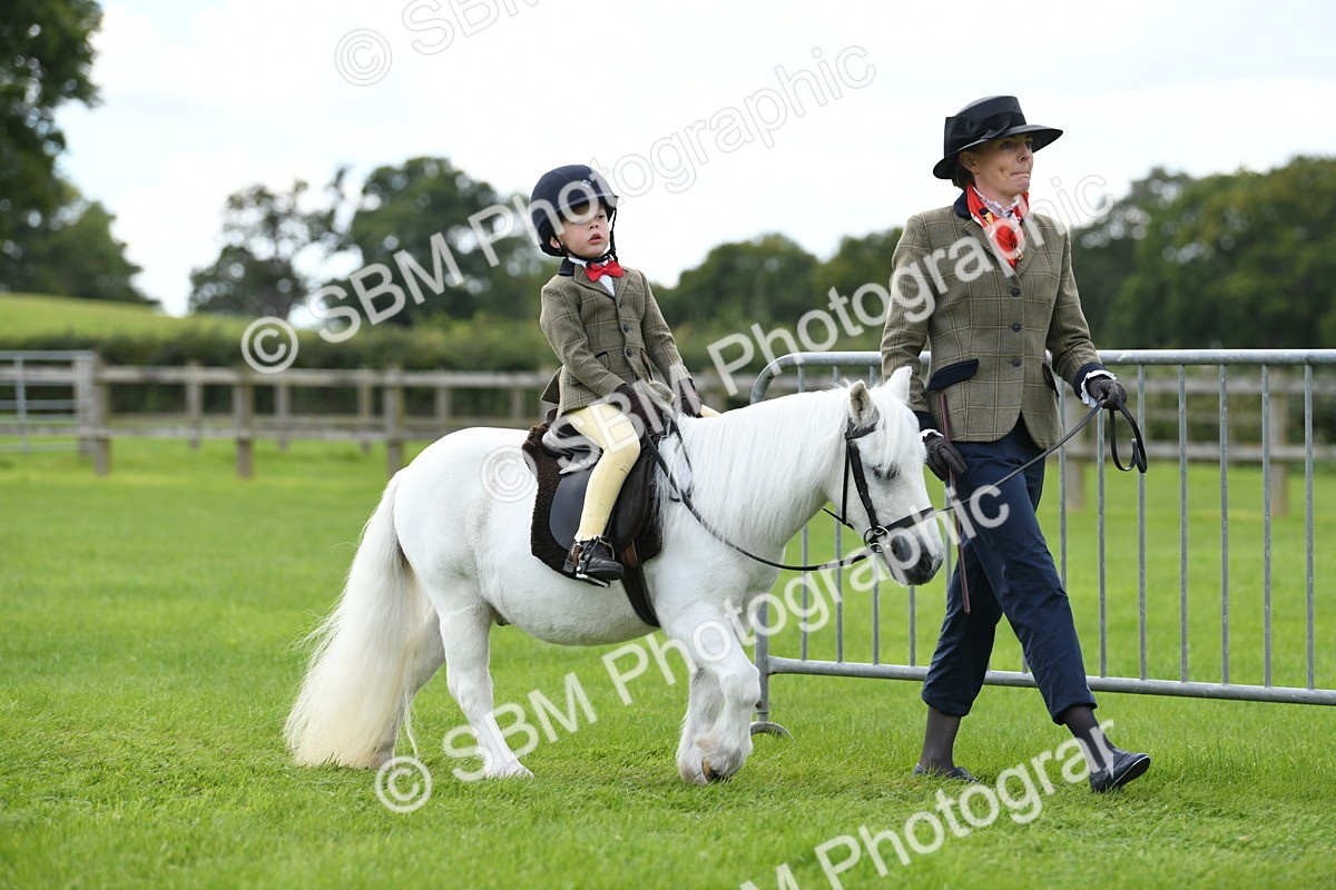 SBM_42411 - S20 - Lead Rein Mountain & Moorland Pony