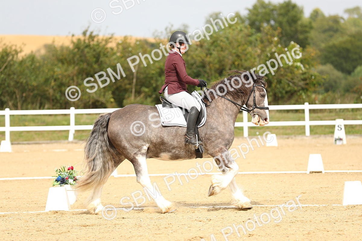 SBM_017317 - Class 13 - Novice 23 - 13.31-14.13