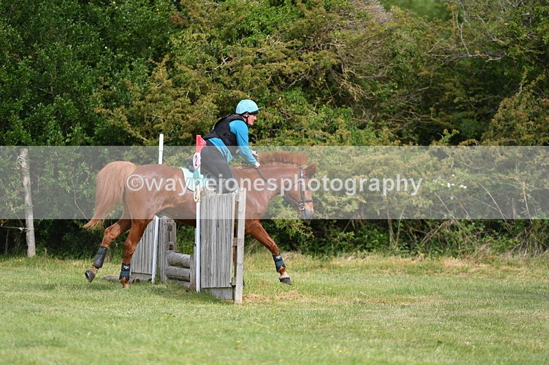 WJ5_2290 - Class 2 40cm