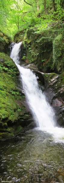 Lower Dolgoch-Falls - Waterfalls