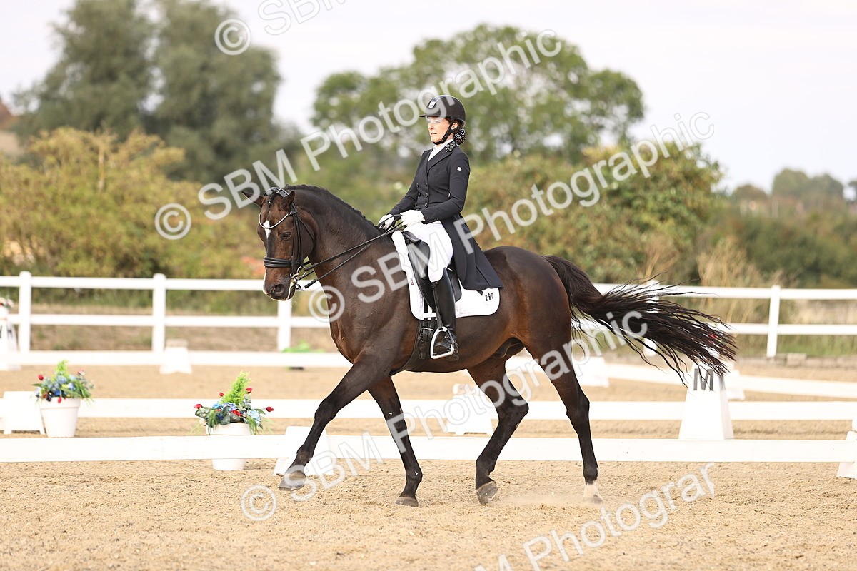 SBM_015546 - Class 11 - FEI PSG