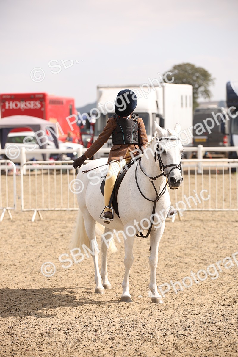 SBM_14262 - Class 407b - Working Veteran 60cm (20+)