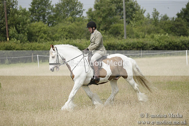 B230619-0449 - Bourne Valley Riding Club Summer Show 23/06/19