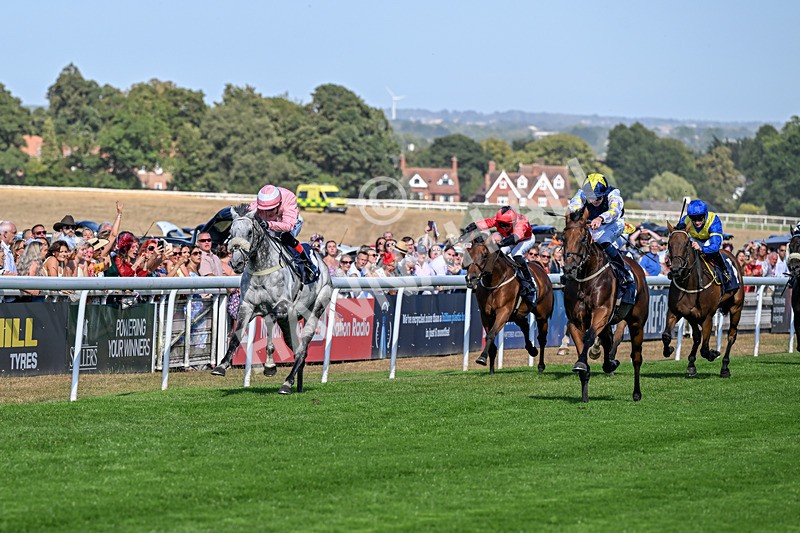 120826-Race 5-Ciao Capo-6939 - Race 5 16.15pm Cayenne Electric At Porsche Centre Hull Handicap