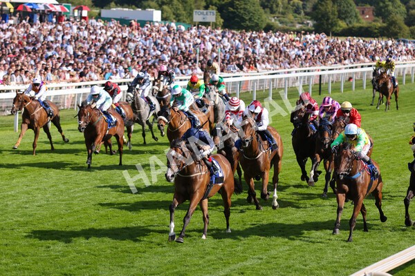 yr09072022r7-19 - Race 7 5.15pm John Smith's Sprint Stakes