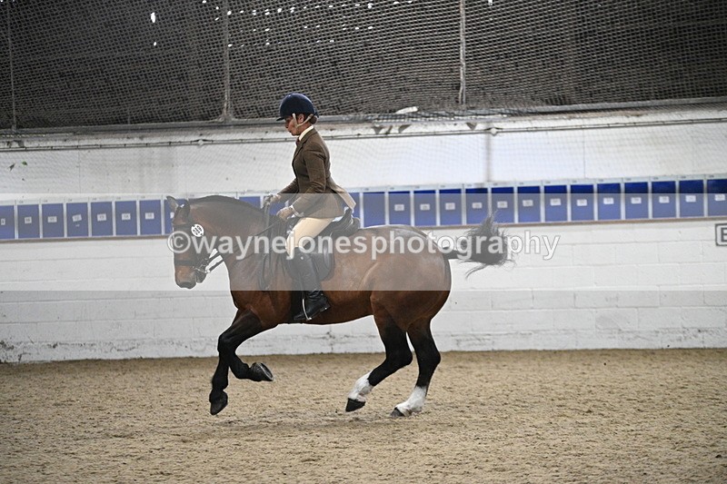 WJ7_4011 - Class 17 Ridden Cob