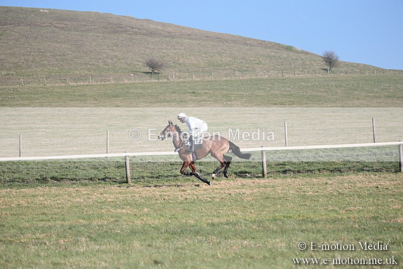 PtP 230219 138 - Vine & Craven Point-To-Point - Barbury 23/02/19