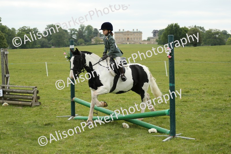 20250517-0534 - Class 20 - Beginners Working Hunter