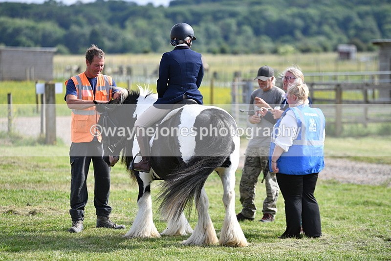 WJ5_7811 - Time 16:40 to 16:55