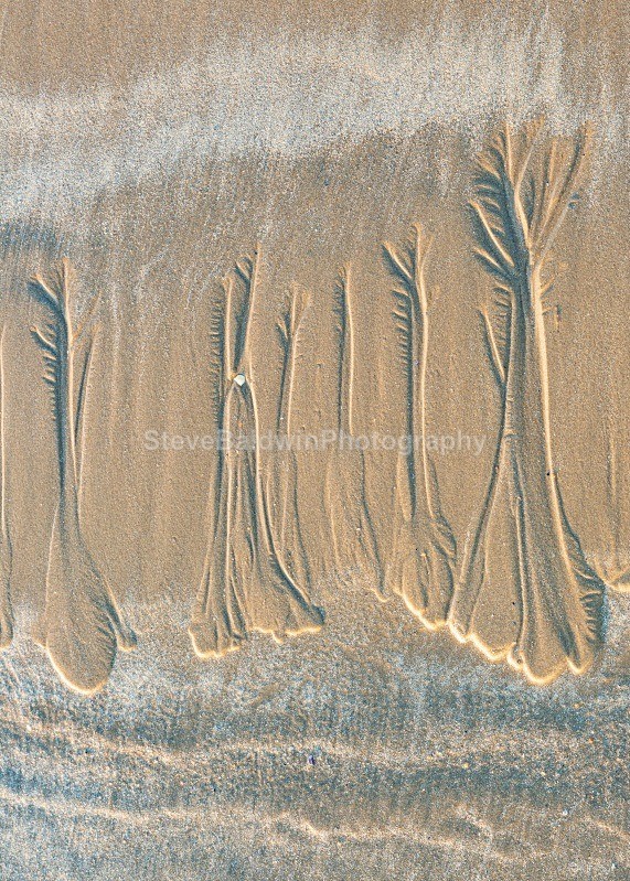 Beach Art:182E - Ireland