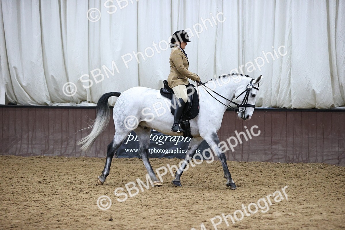 SBM_6338 - Class 45-42 - Ridden Irish Breeds-Ridden Cob