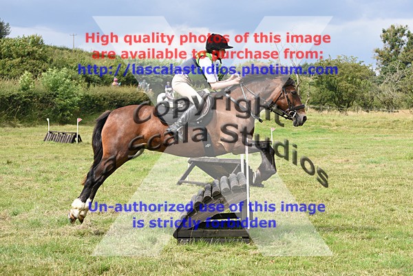 SNCP_0012 - A Group