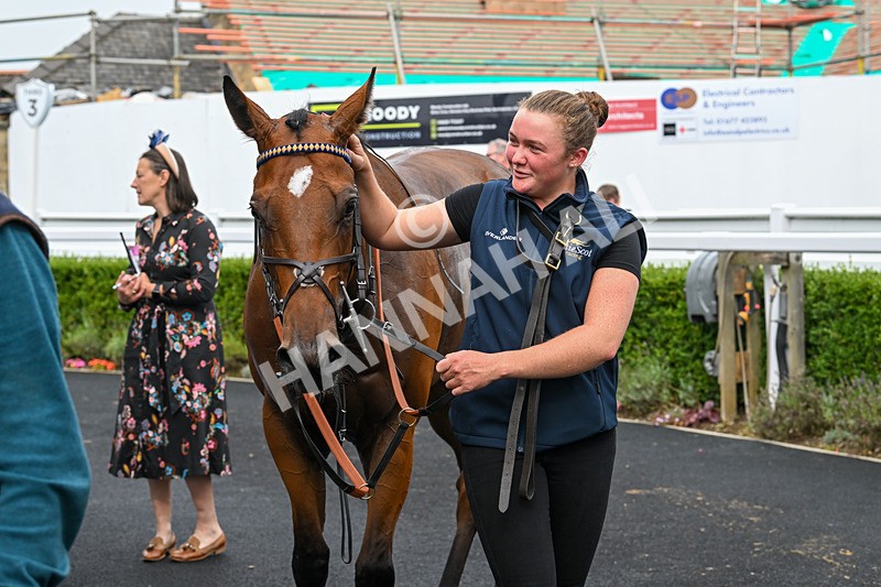 280824-Race 3-Too Much Too Young-4290 - Race 3