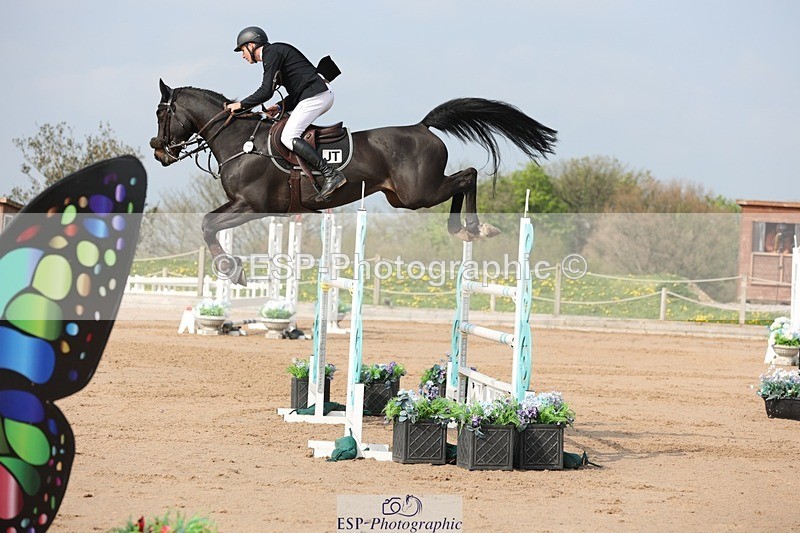 250424-103206-03076 - Cls 33 Young Horse 7yr old