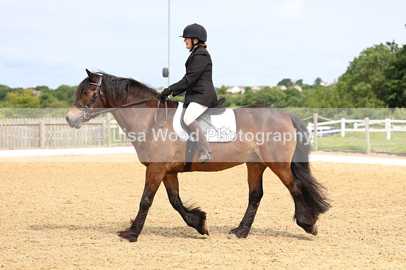 3E7A9090 - Class 2: Intro 1 2024 Section B