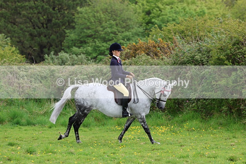 3E7A2081 - Class 11: Ridden Arab