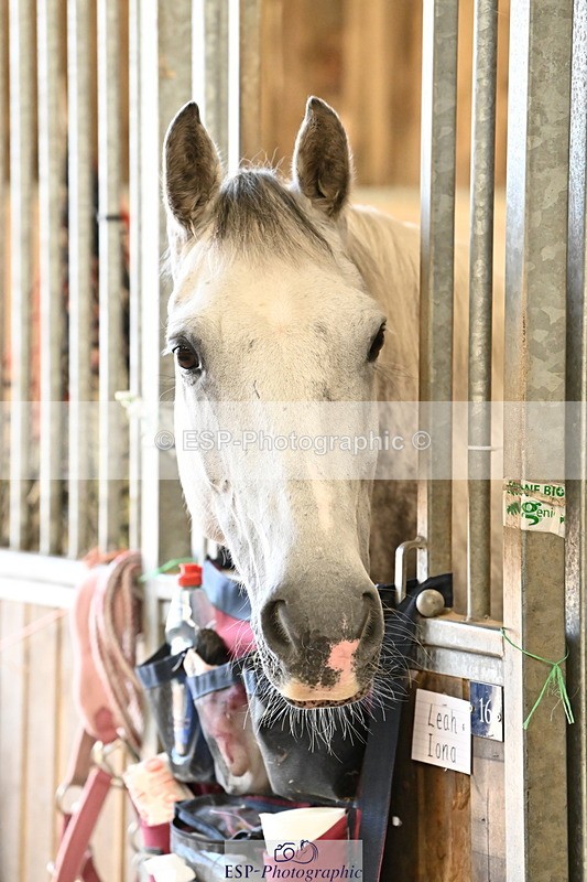 250821B-141248-00497 - Stable Shots and Group Photo