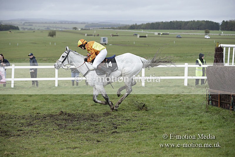PtP 150320 0427 - New Forest Point-to-Point Larkhill 15/03/20