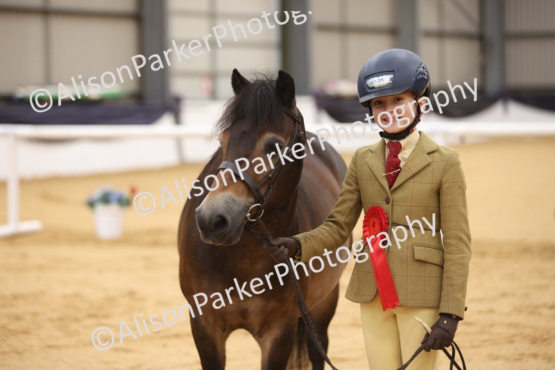20260913-1149 - Class 110 - Bred In Other In Hand