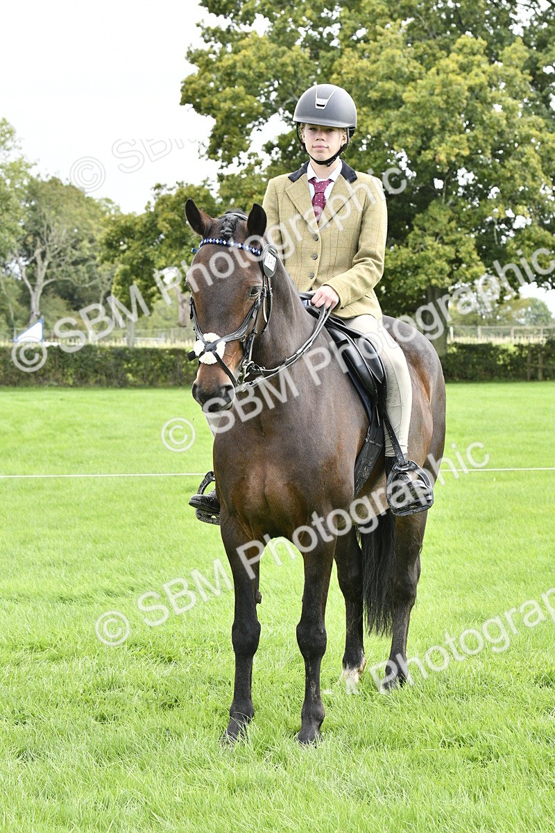 SBM_41634 - S32 - Mountain & Moorland Working Hunter Pony