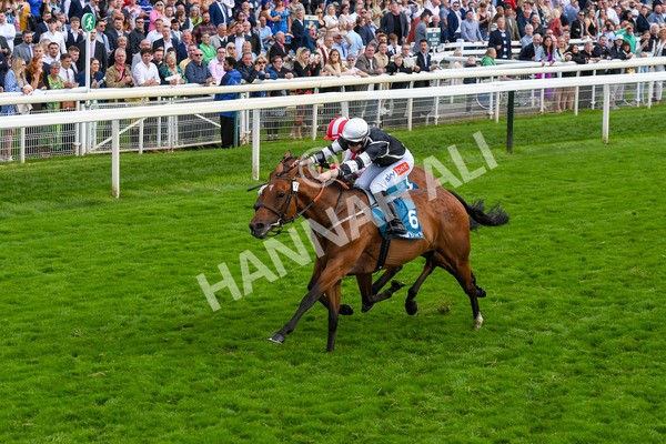 250823-Race 5-Reach-0880 - Race 5 4.10pm Assured Data Protection EBF Fillies' Handicap
