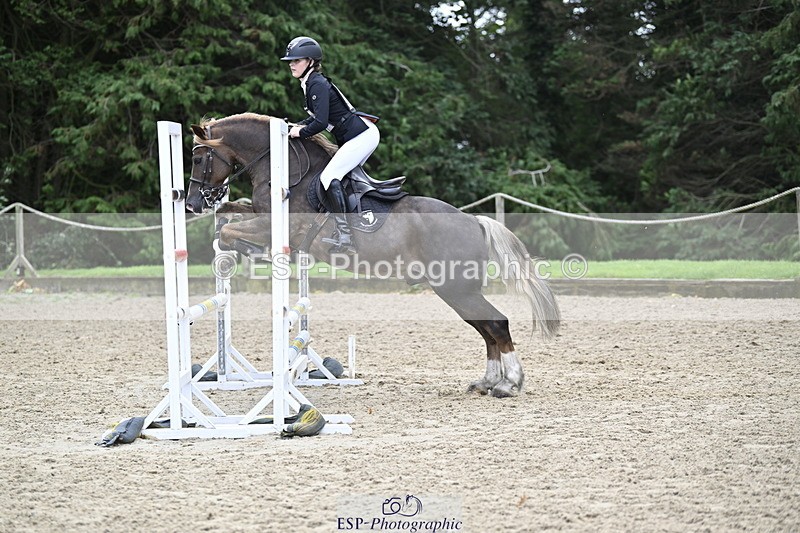 251005A-130307-04024 - Cls 08 Mini 70-75cm