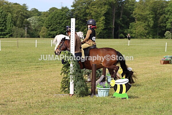 IMG_2167 - Working Hunter
