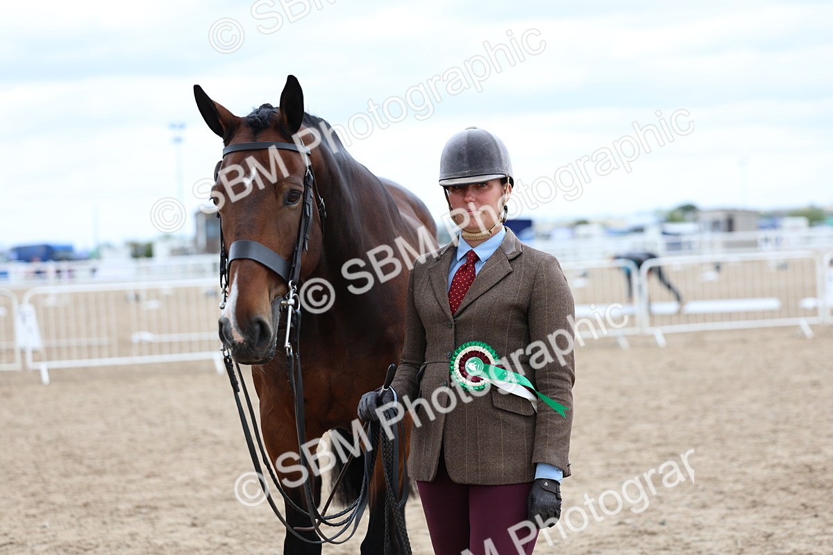 SBM_05799 - Class 28 - IH Veteran Horse