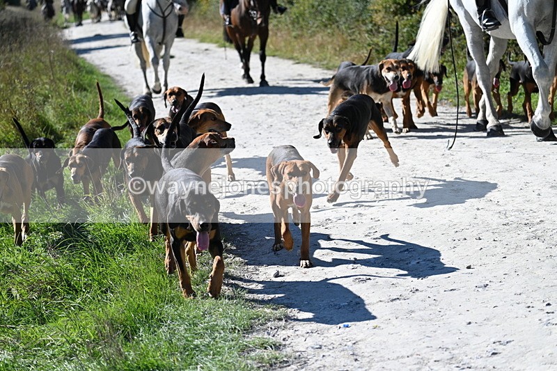 WJ7_7063 - Ridgeway Track