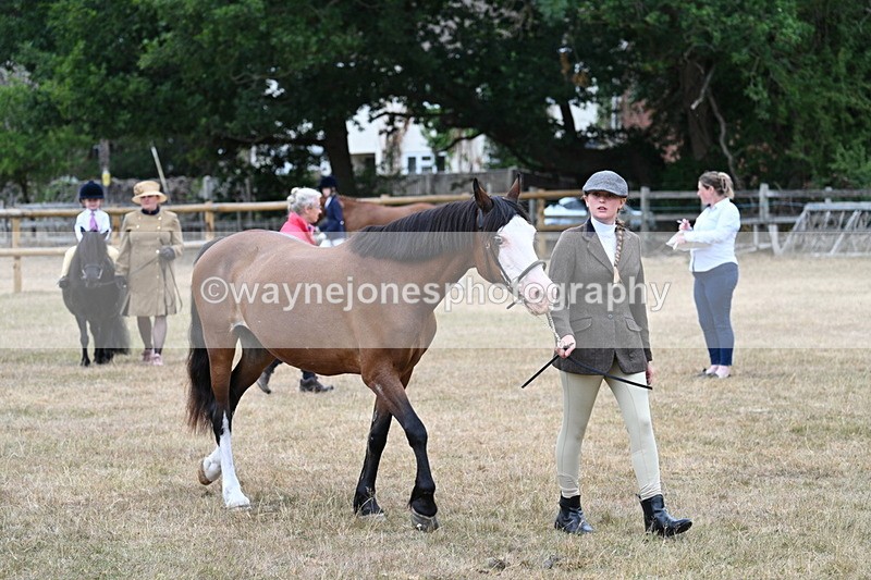 WJ7_8040 - Class 4 Prettiest Mare up to 14.2hh