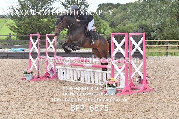 BPP_6875 - CLASS 2 Senior British Novice/ 90cm Open