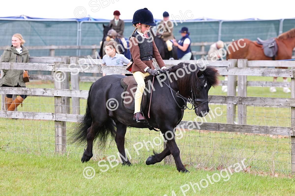SBM_08492 - Class 42-43 - LIHS BSPS Heritage Working Sports Pony